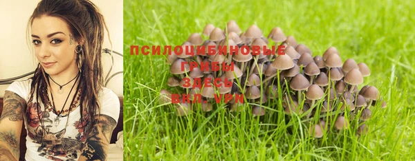 ALPHA-PVP Армянск