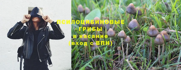 дурь Аркадак