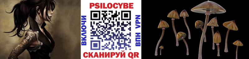Псилоцибиновые грибы GOLDEN TEACHER Хилок
