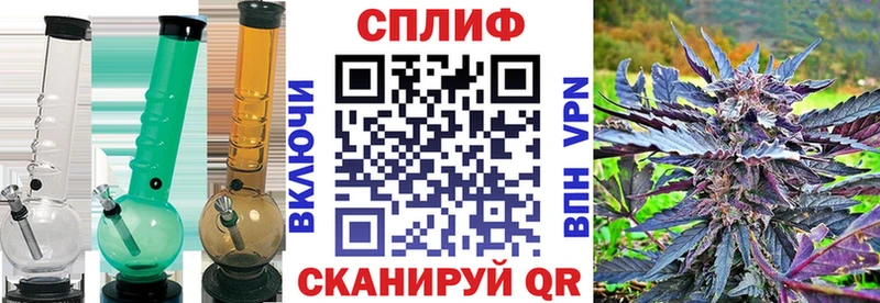 Бошки Шишки гибрид Хилок